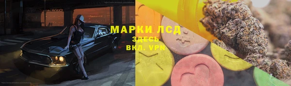 стаф Волоколамск